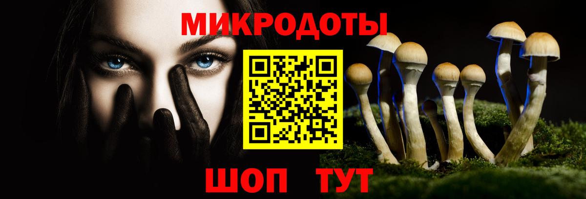 Галлюциногенные грибы мицелий  Вход с VPN  Псилоцибиновые грибы Psilocybine cubensis  где купить   Полысаево 