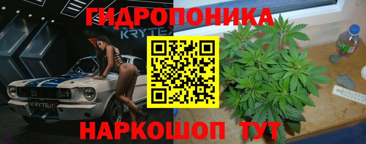 Бошки марихуана White Widow  Вход с VPN  МАРИХУАНА планчик  Полысаево 